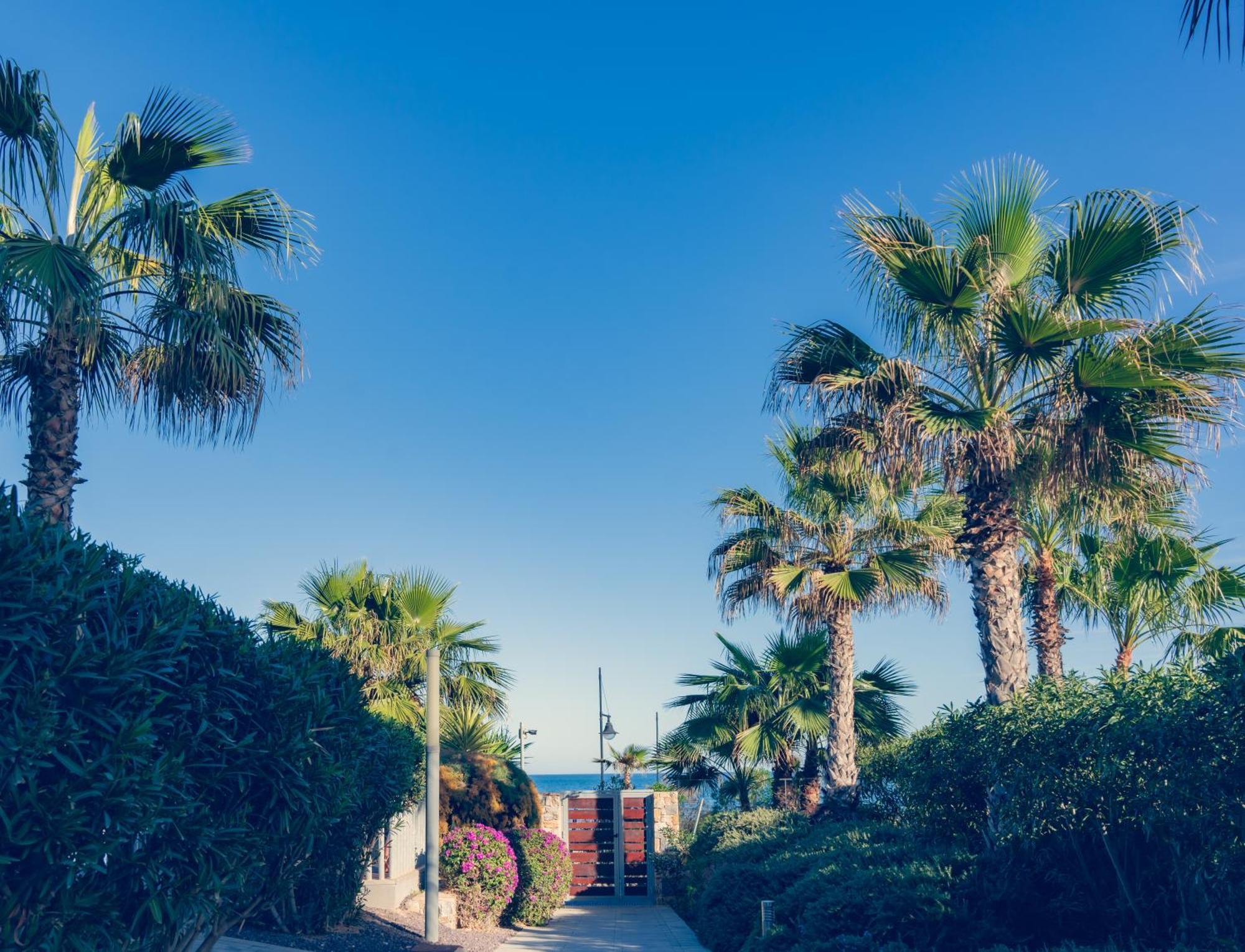 Apartamento Premium Con Jacuzzi Y Vistas Al Mar En Punta Prima, Torrevieja By Rentalole Kültér fotó